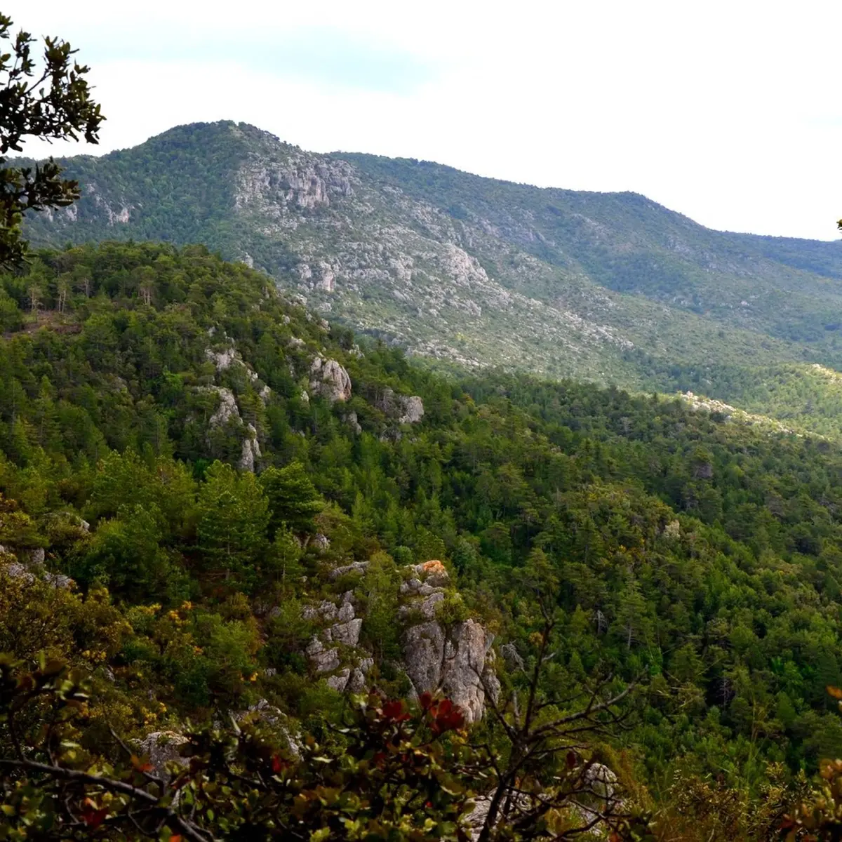 Sur le chemin des crêtes