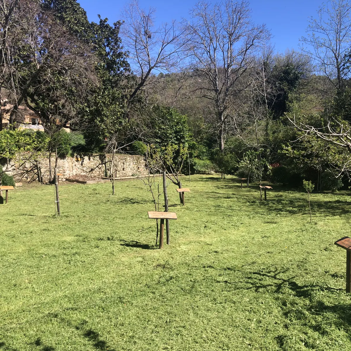 Sophro balade et poterie à Collobrières