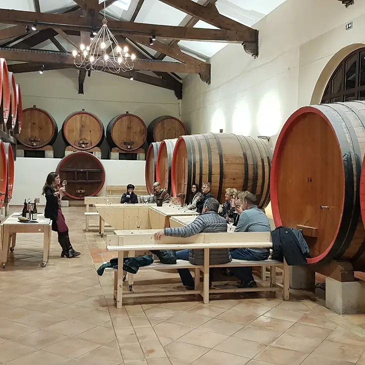 Pavillon Bouachon - ateliers