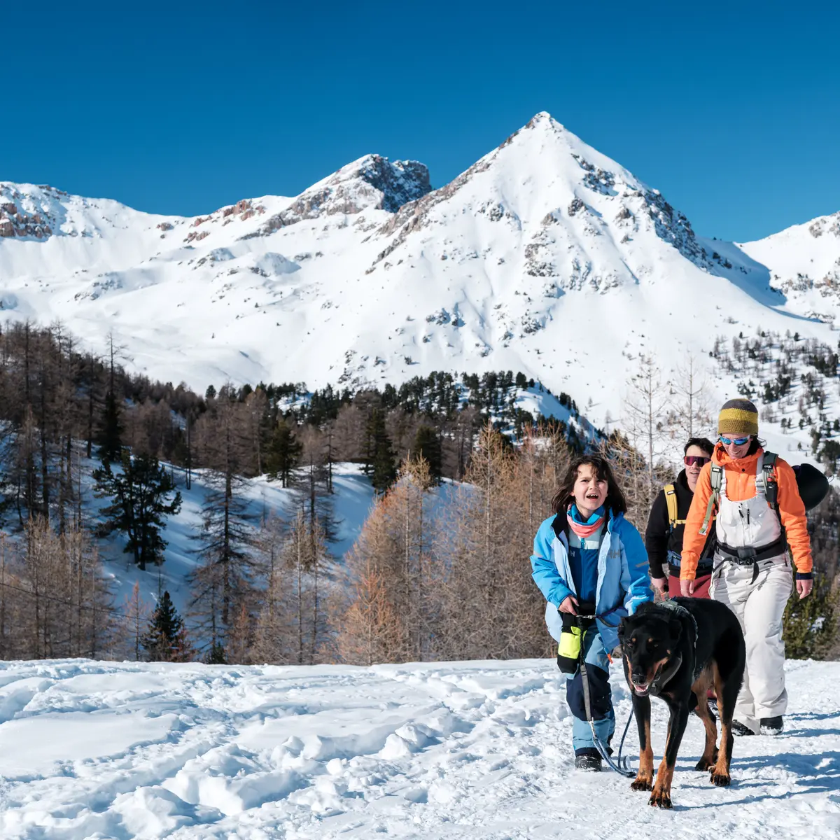Le col de l'Izoard en hiver