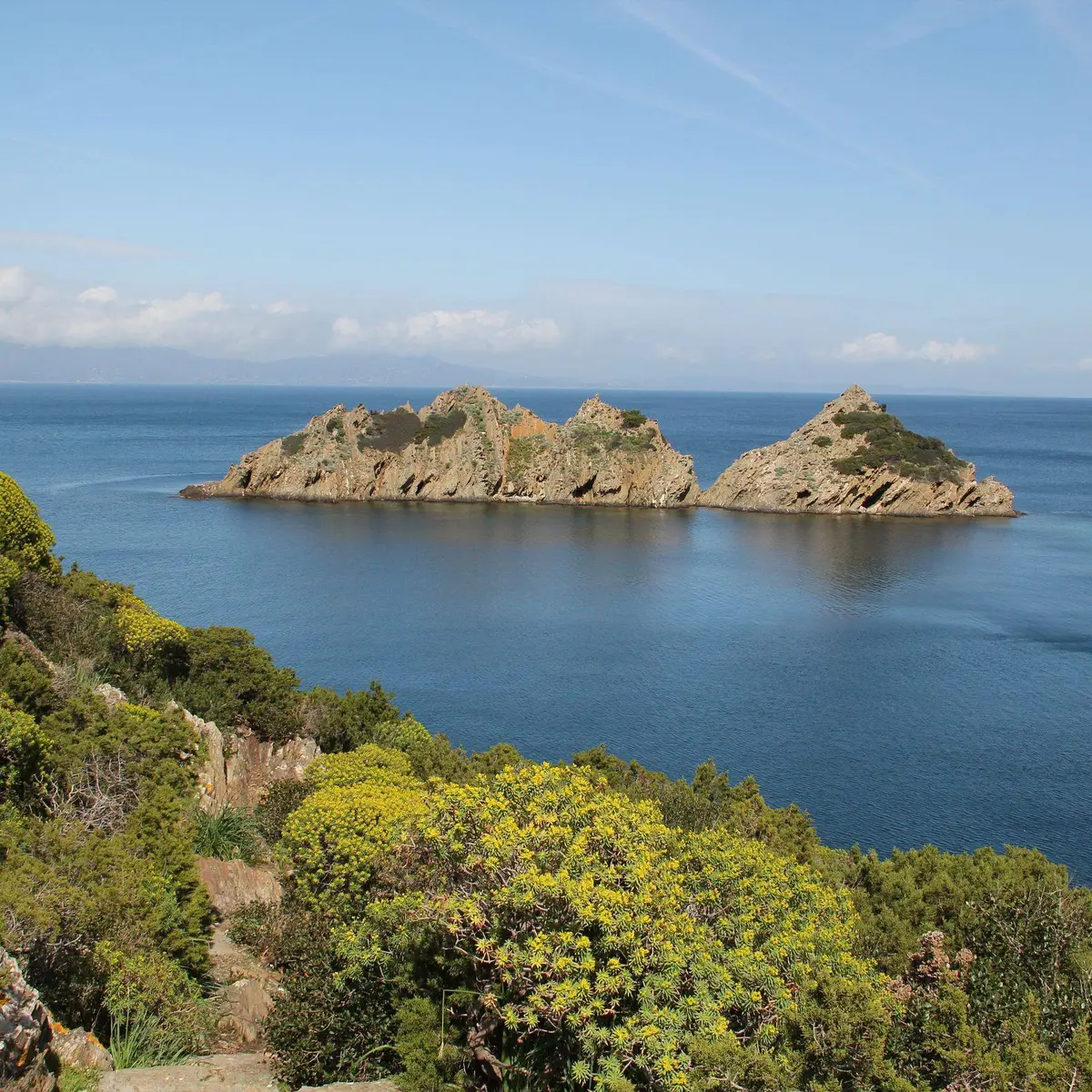 Ilot du Rascas vu du Sentier des Plantes