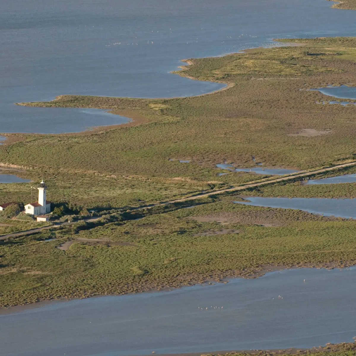 Le phare de la Gacholle