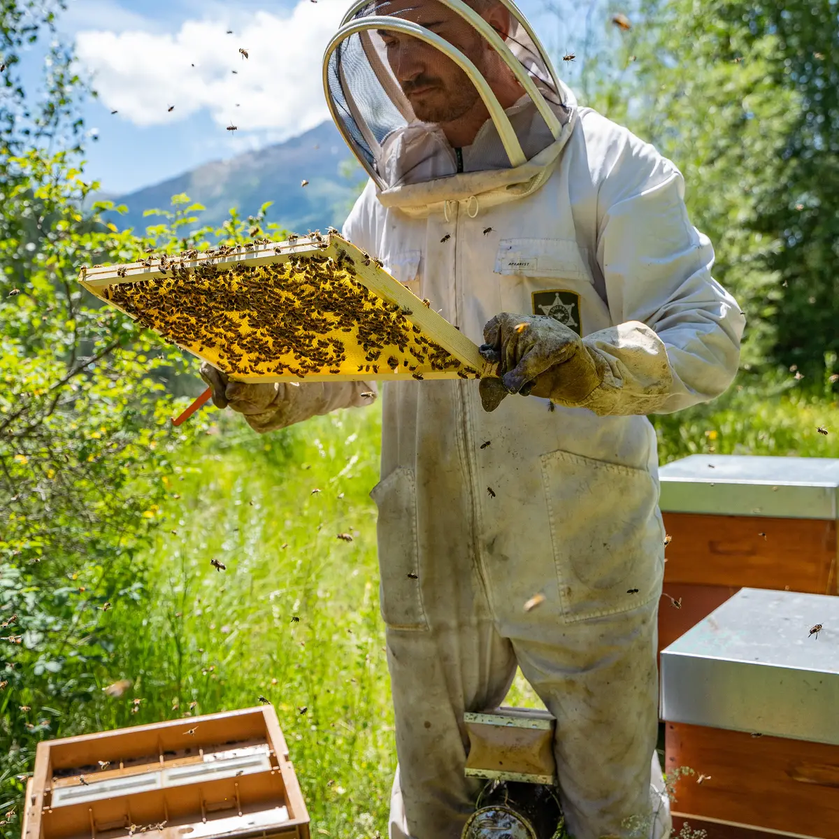 Miel Les Ruches d'Orcières