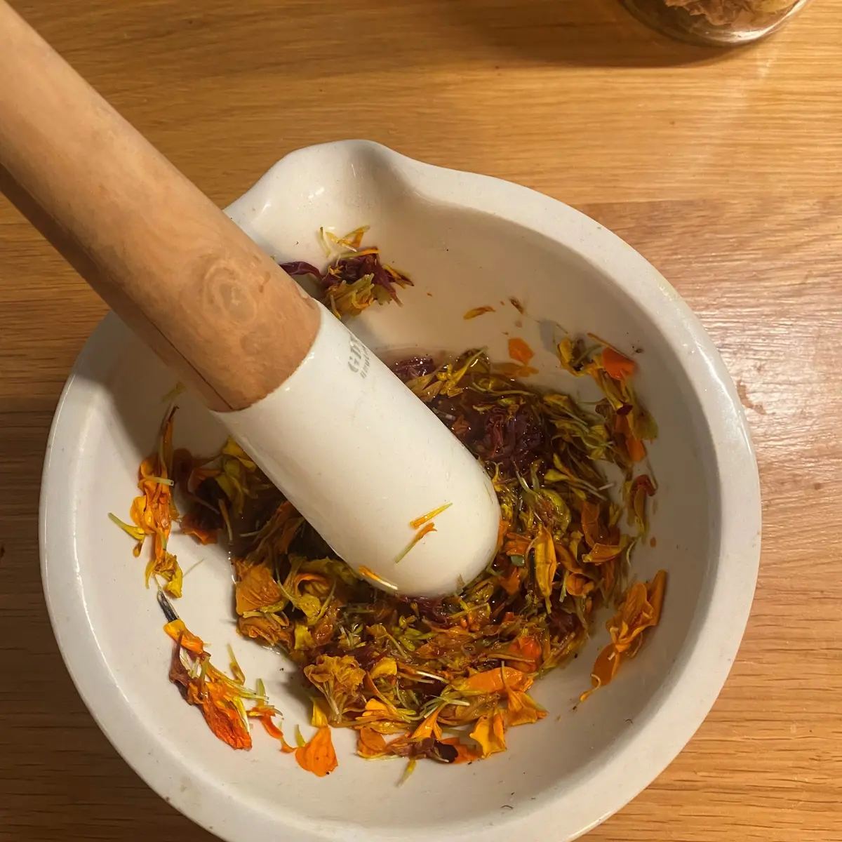 Atelier papier et encre végétale_Rayol-Canadel sur Mer