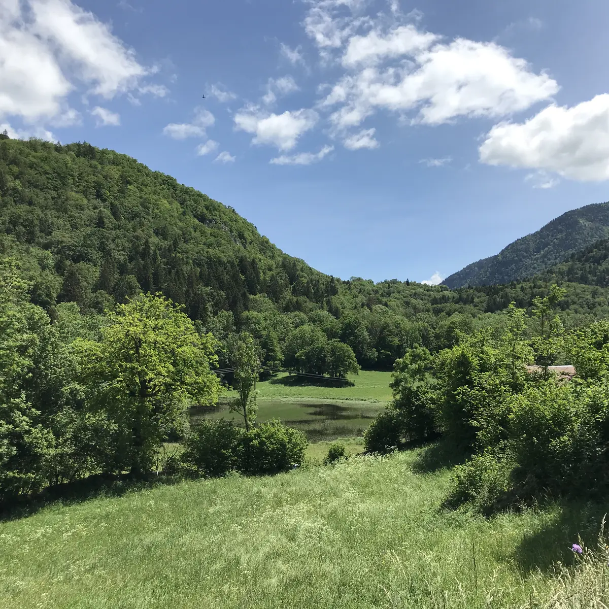 Marais d'Yvoray