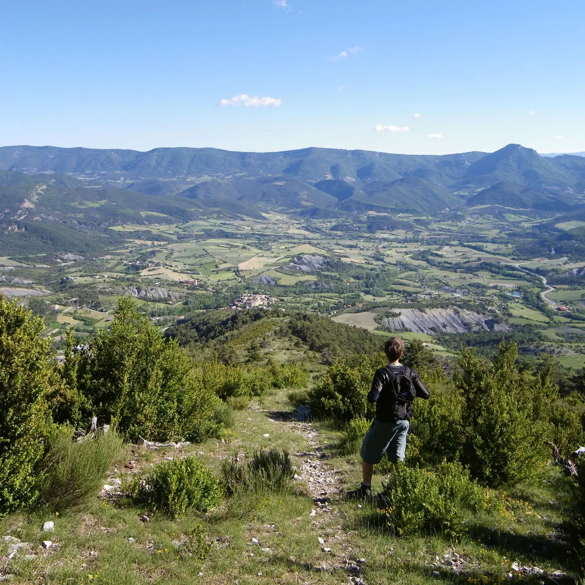 Paysages du Rosanais