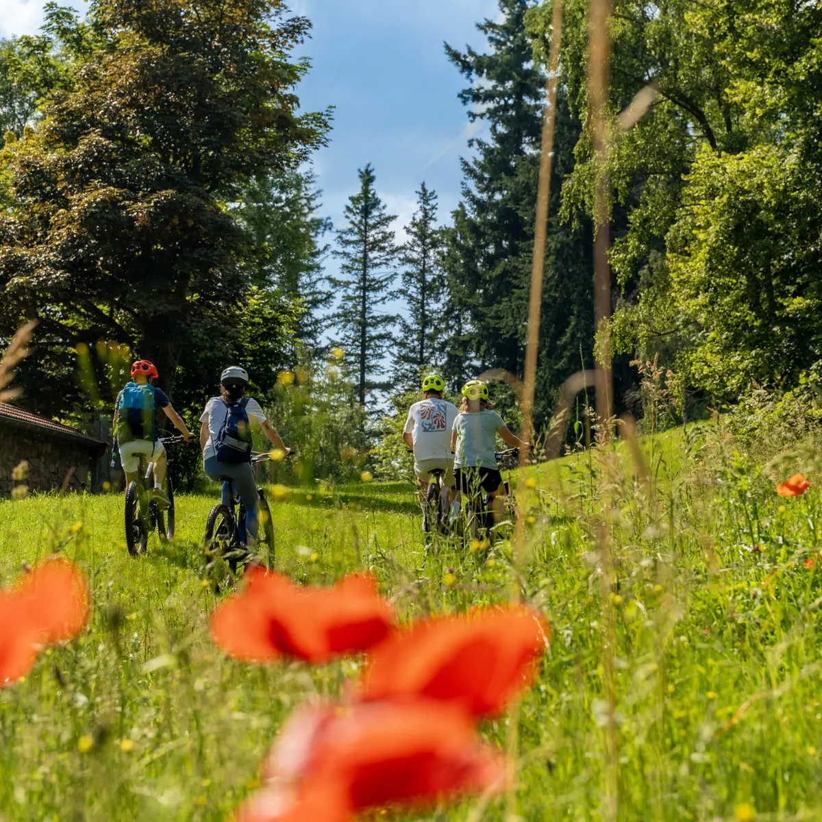 VTT