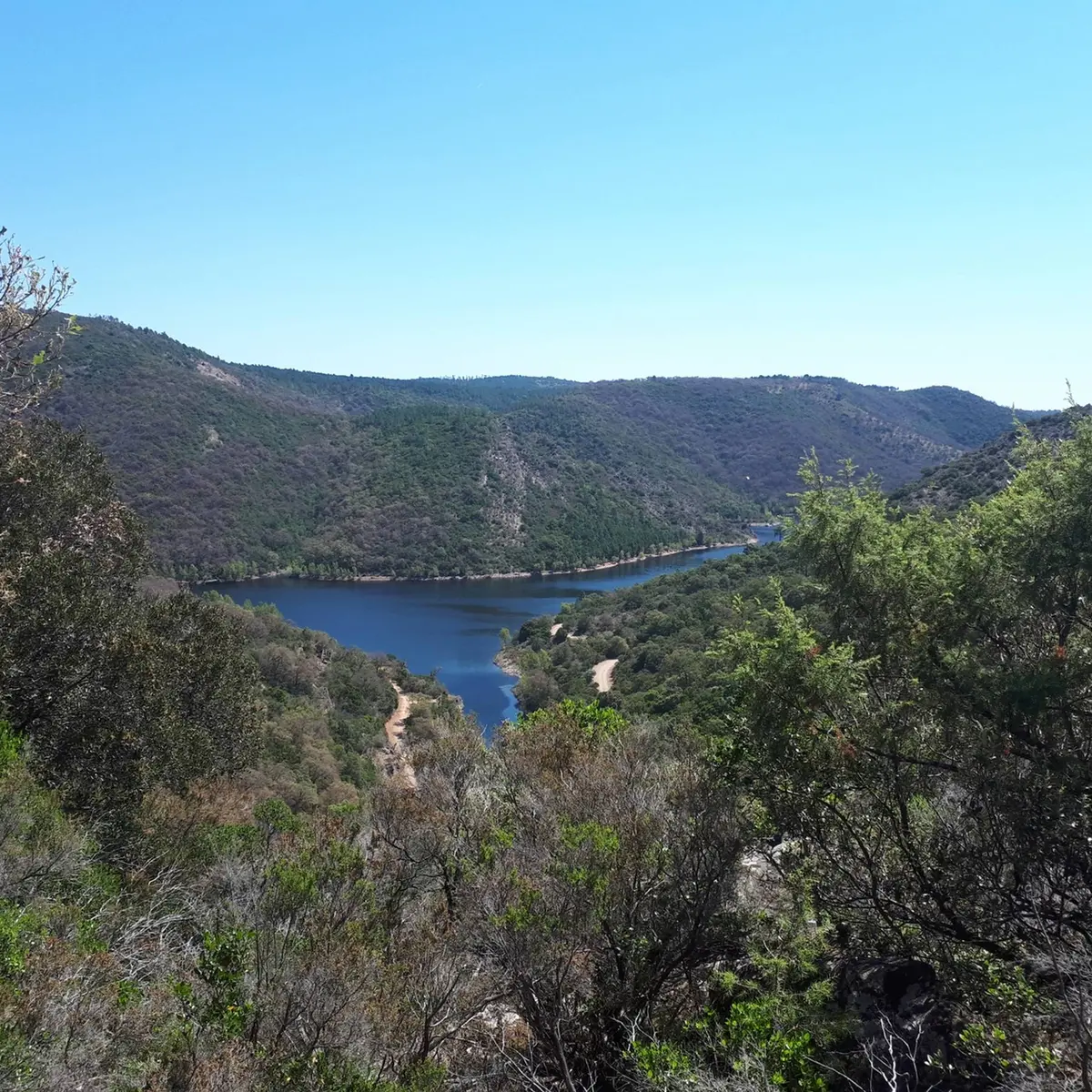Panorama sur le massif forestier et la retenue d'eau de la rivière de la Verne