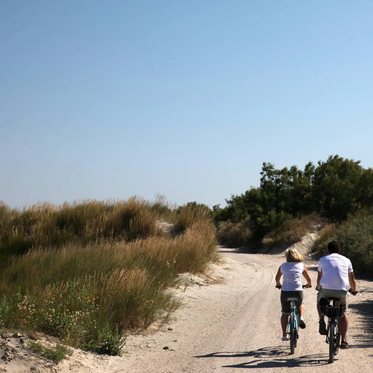 Cyclistes sur la digue à la mer
