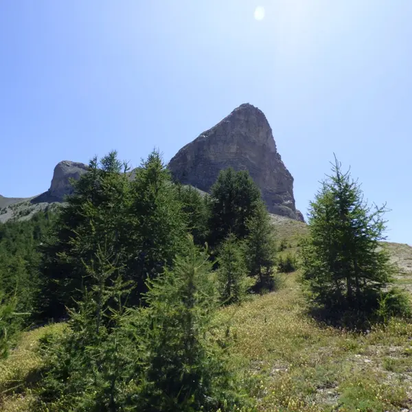 Sommet de la montagne de Rochecline, masse rocheuse entourée de végétation et de quelques conifères