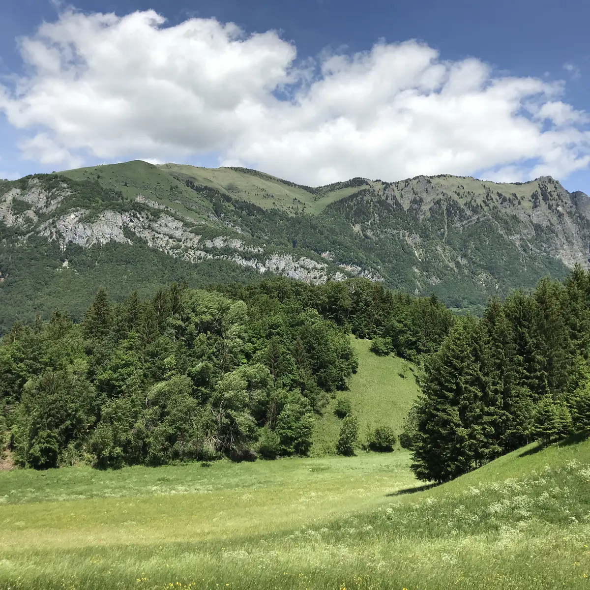 Vue sur le Pic de Marcelly