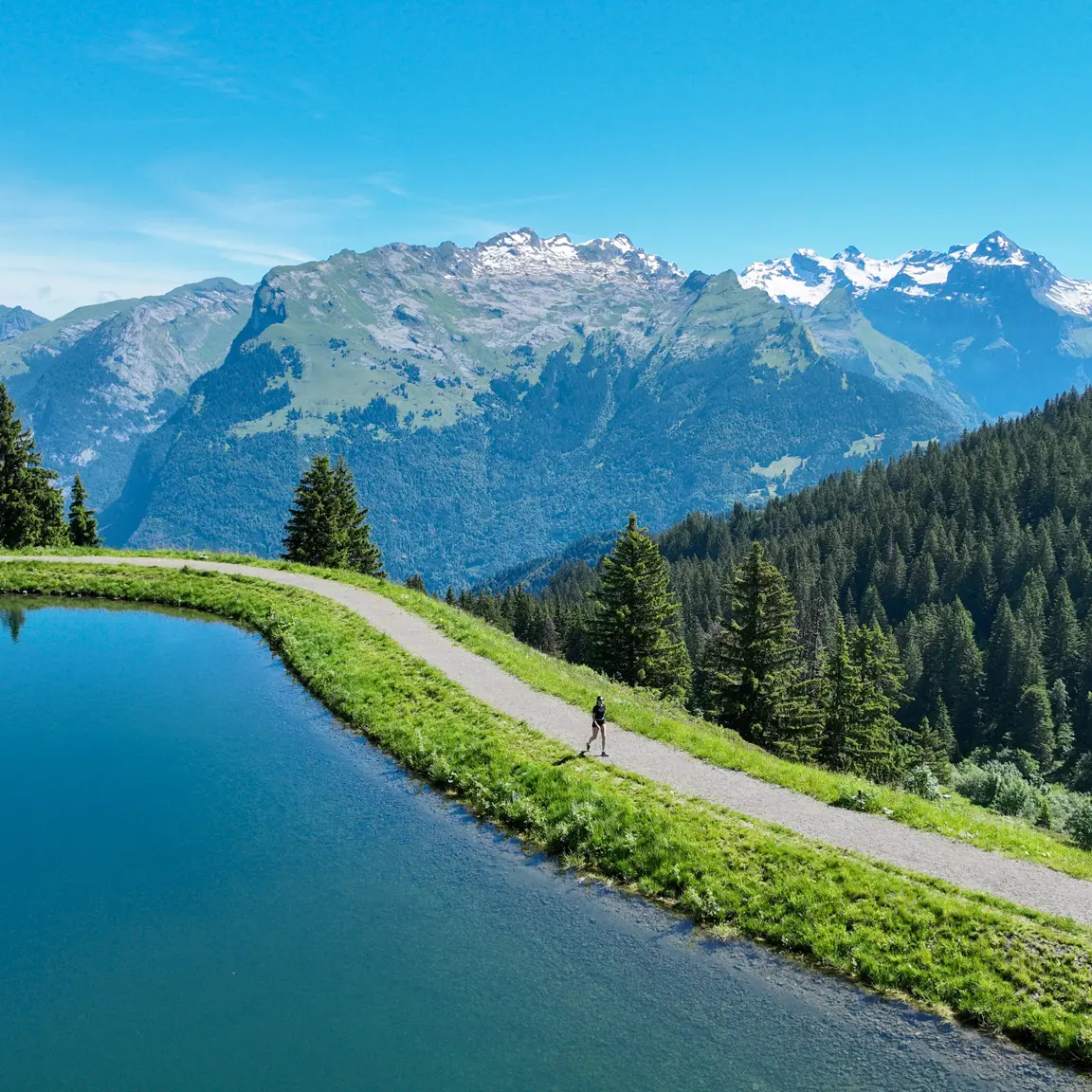 Lac