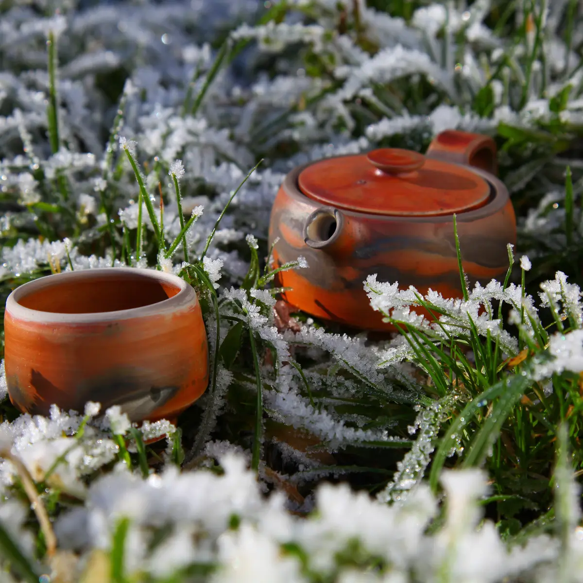 Si terre m'était contée