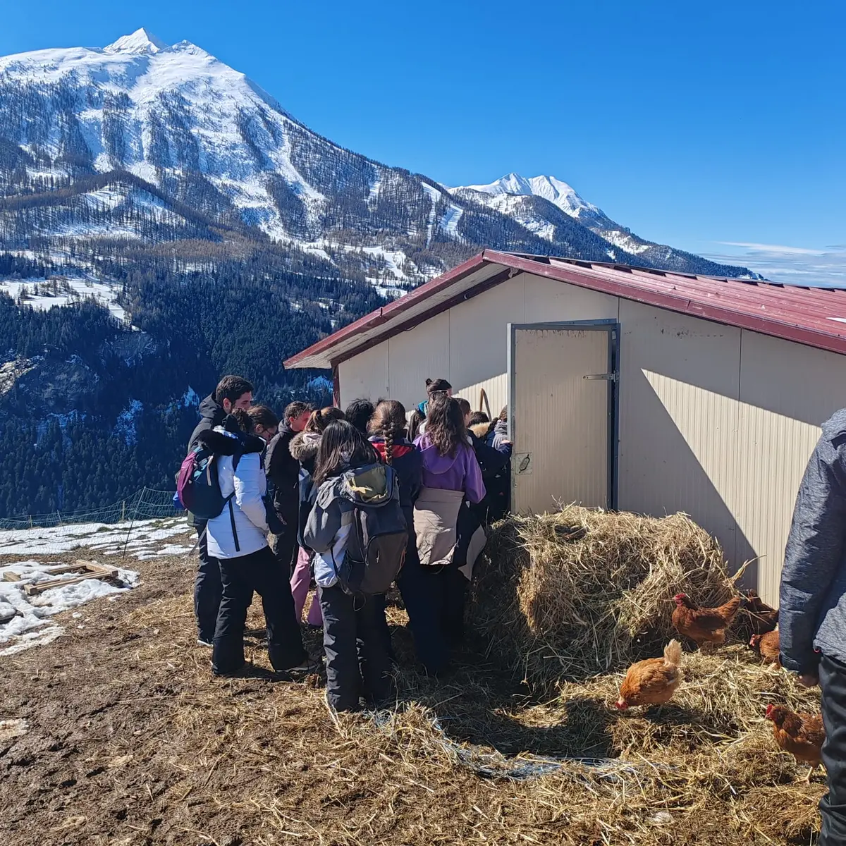 La Ferme Tout là Ô_Orcières
