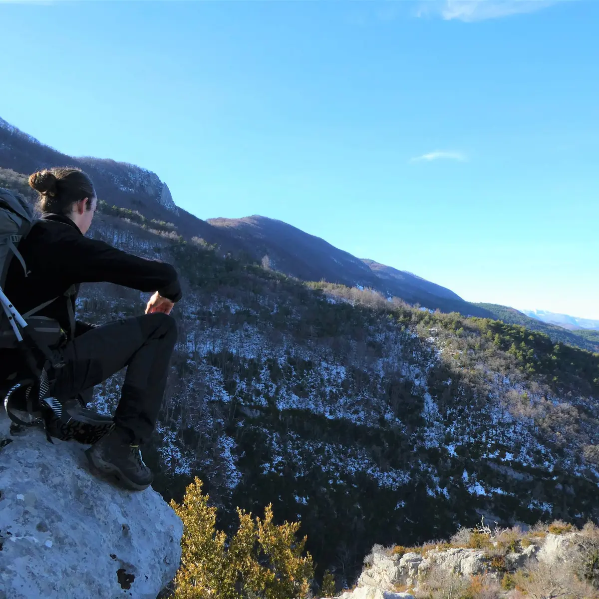 Un paysage appréciable