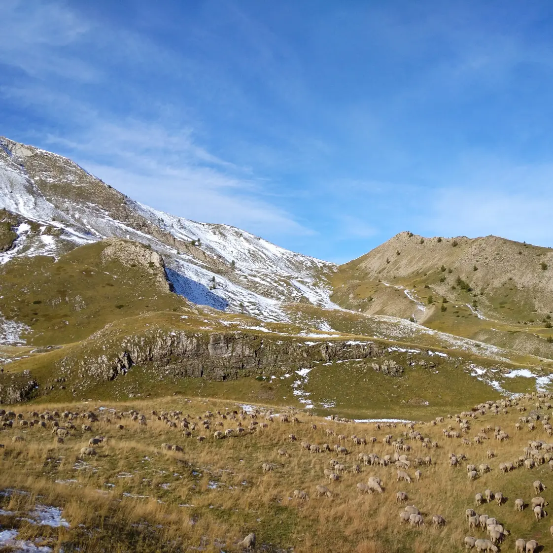 Randonnée pédestre avec FloRando à Ancelle