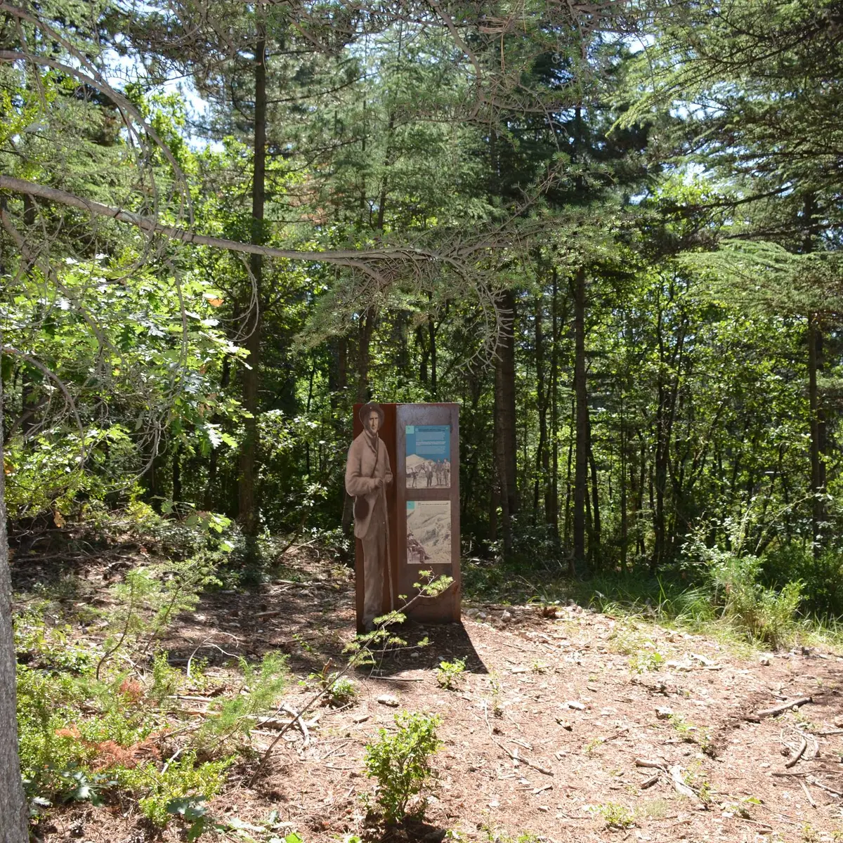 Médiation sur les reboiseurs du Ventoux