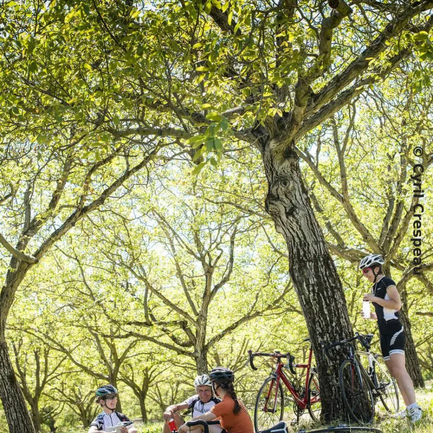 La Drômoise des familles