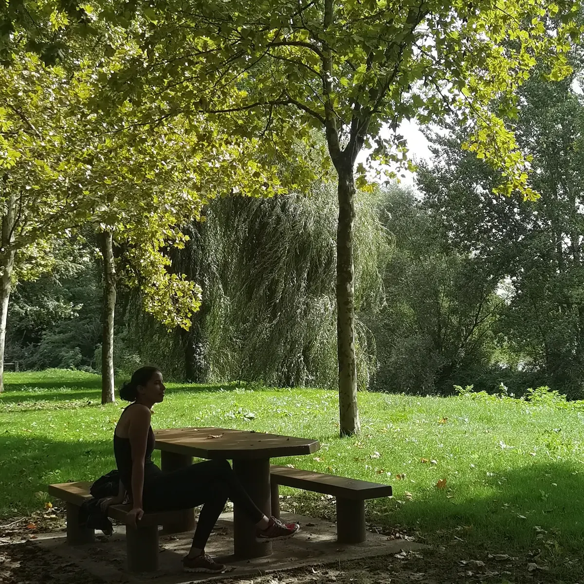 Berge de l'Aveyron Bioule
