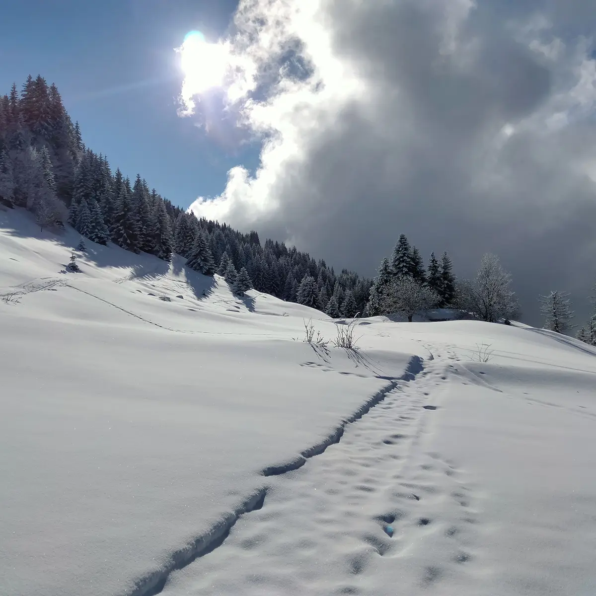 Landschap onder sneeuw en zon