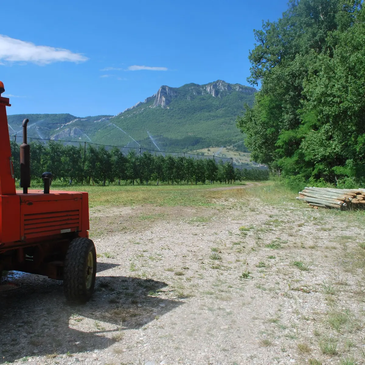 Les vergers de Ribiers