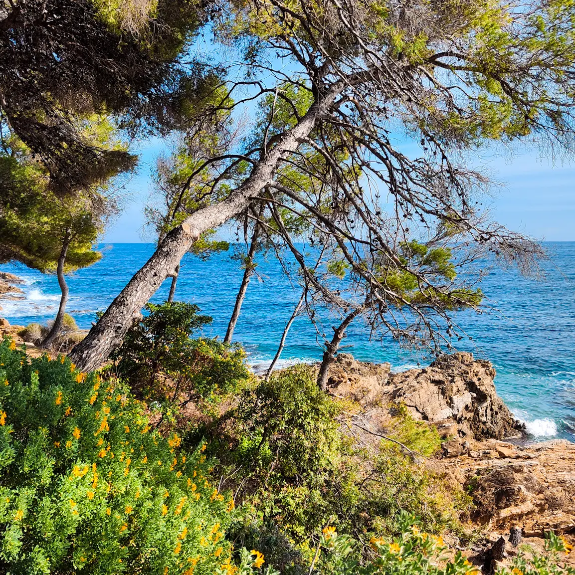 calanque aux Issambres