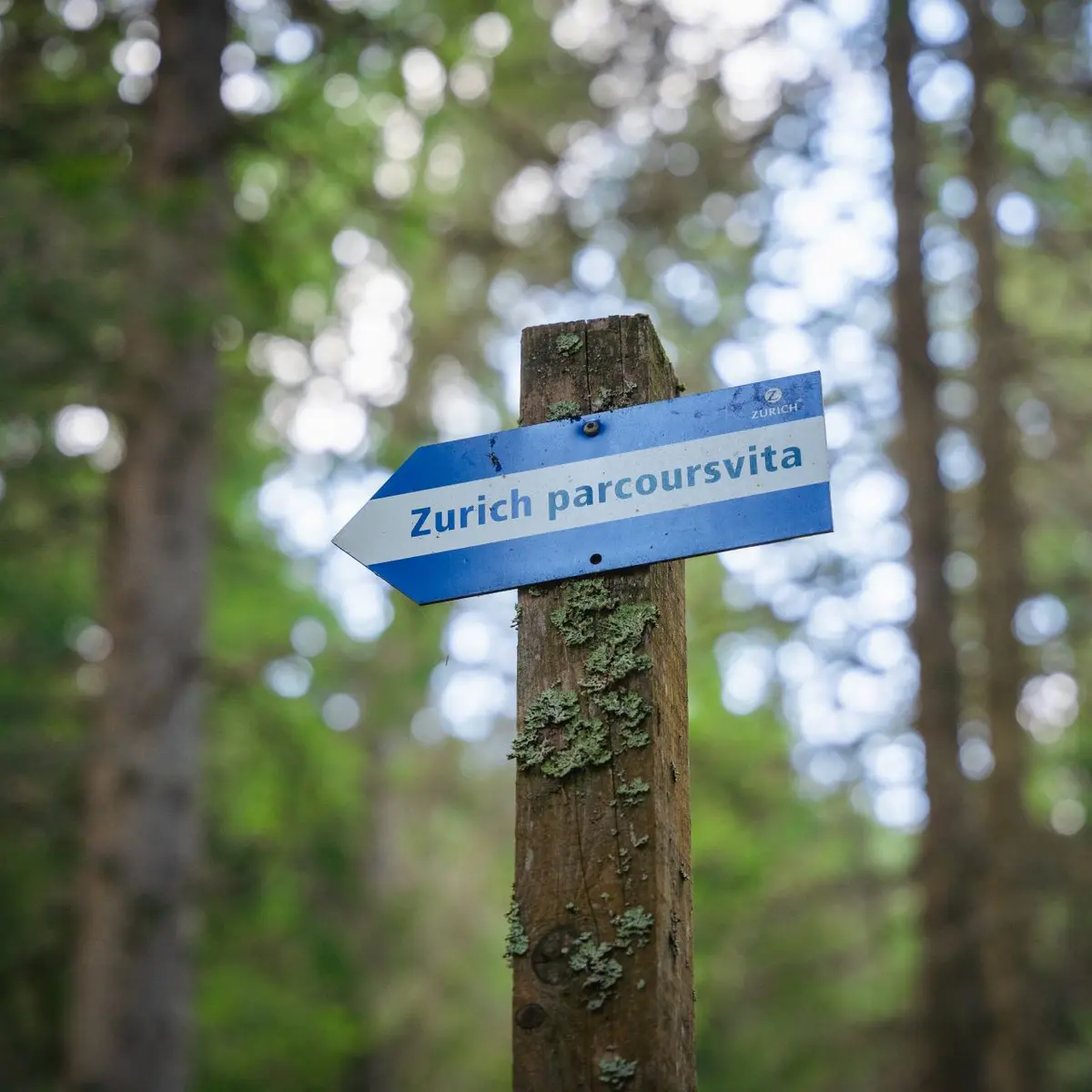 Parcours vita