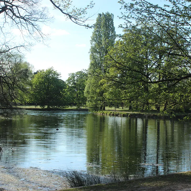 Lac des Ibis Le Vésinet