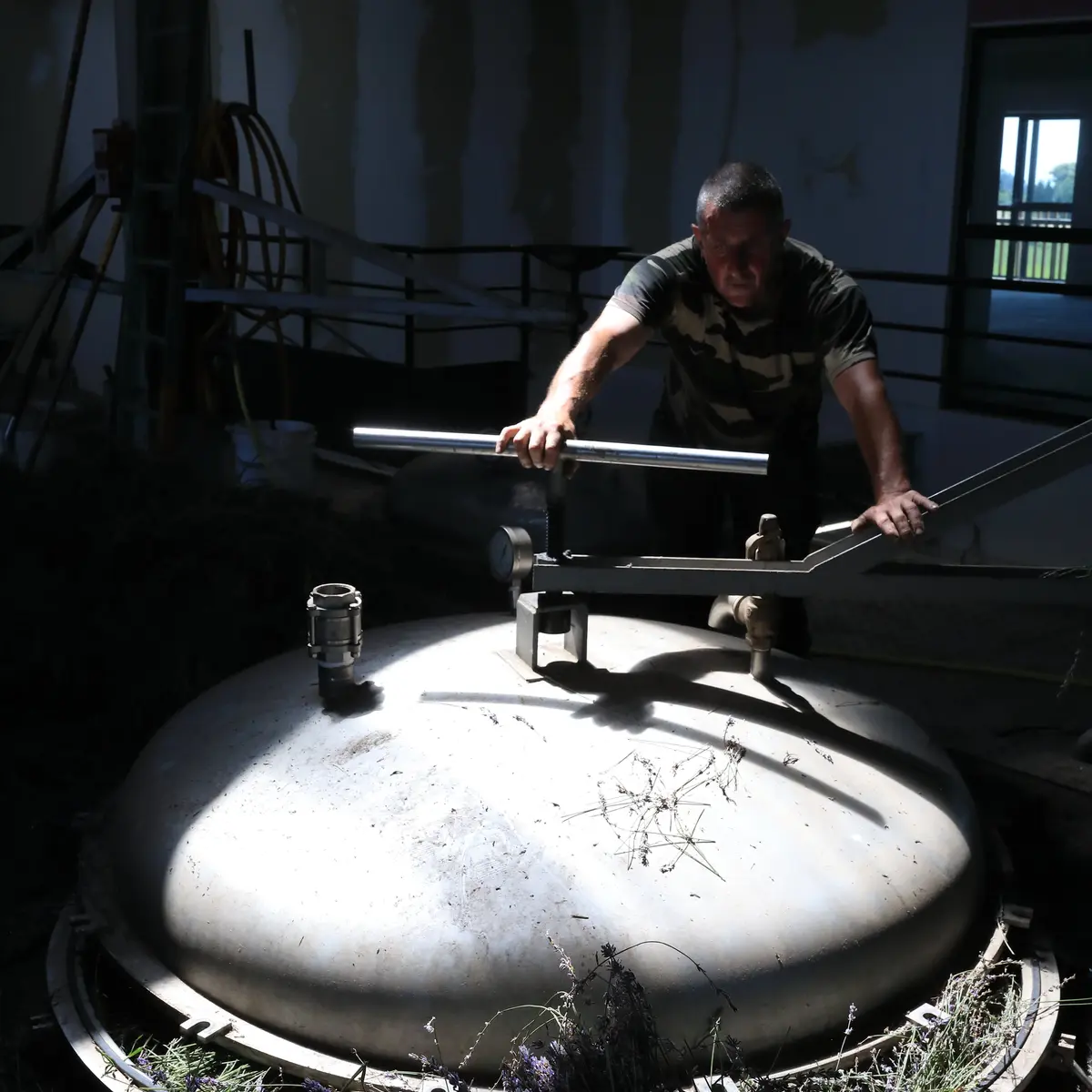 Distillation en cours de Lavande