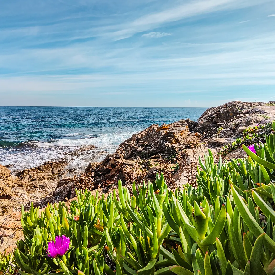 calanque aux Issambres