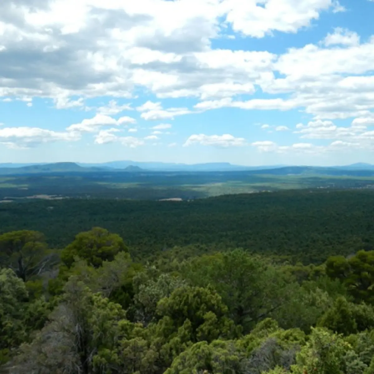 Vue sur les collines du haut Var