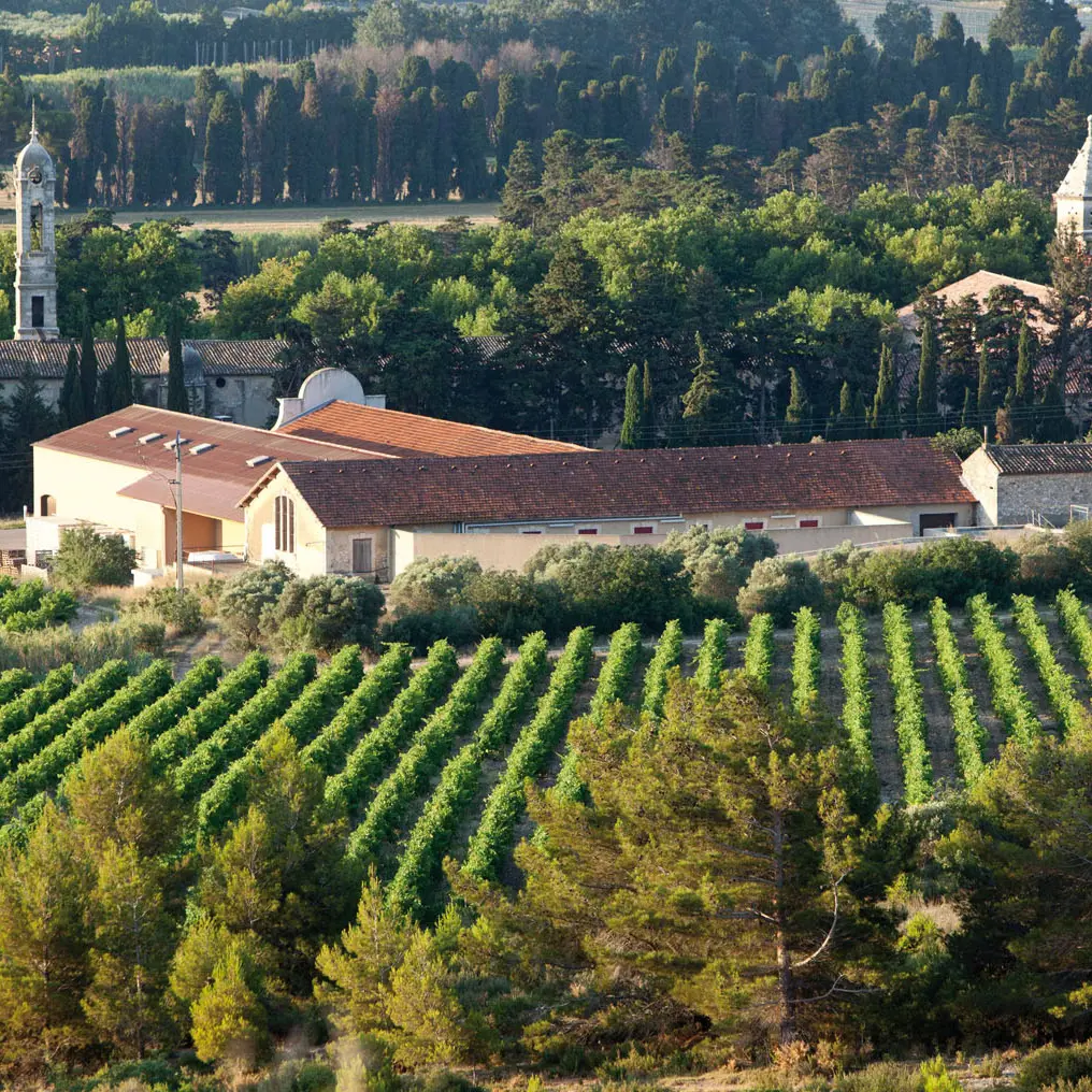 Vignoble et domaine