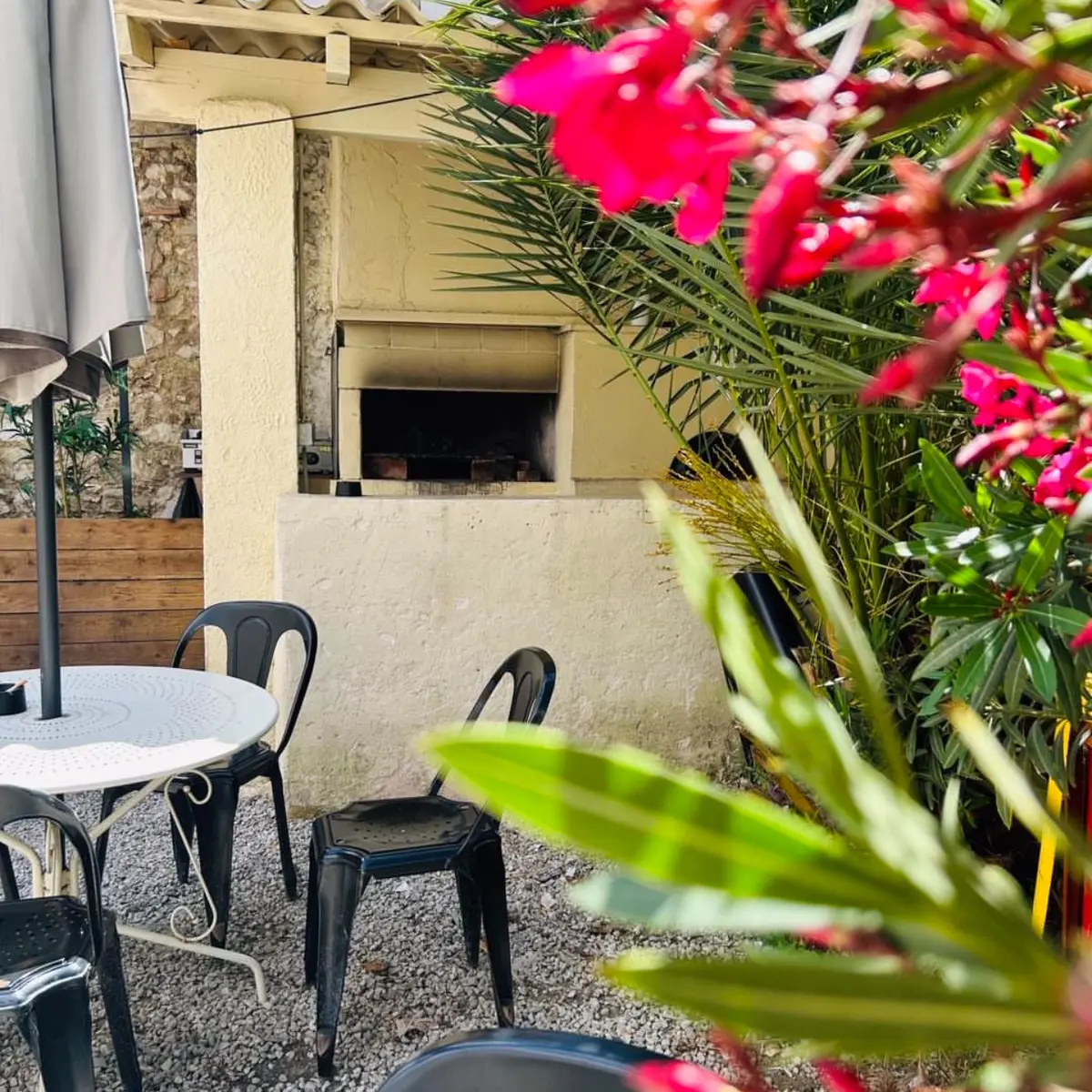 exterieur avec vue sur le barbecue et laurier rose en fleur