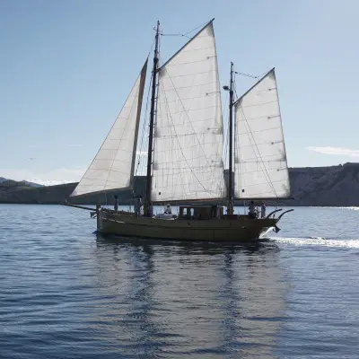 Evening sailing cruise in the Frioul's Island - Quay of Honor Town Hall