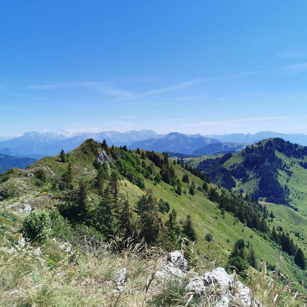 Crêtes d'Hirmentaz vue Mont-Blanc