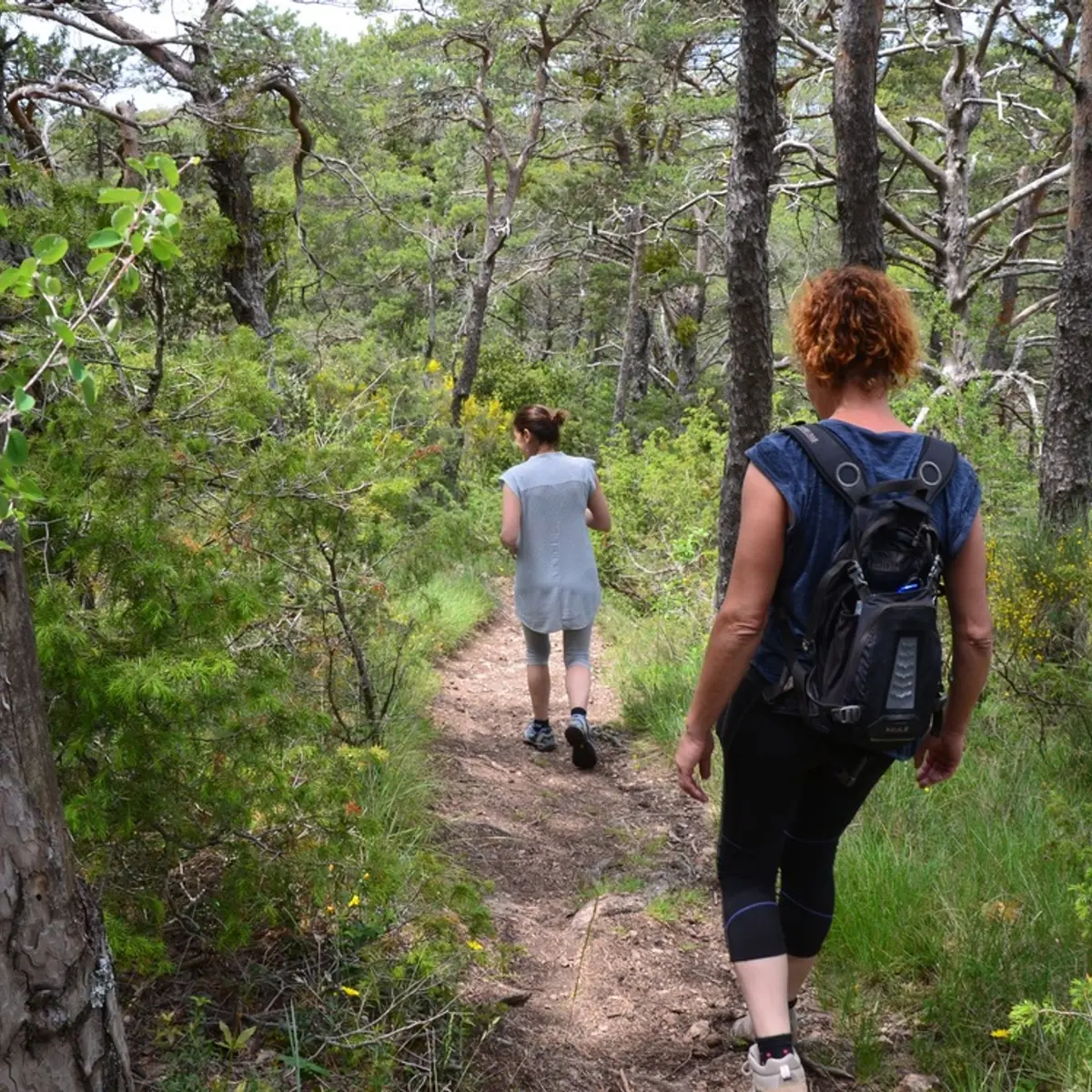 Randonneuses en sous bois