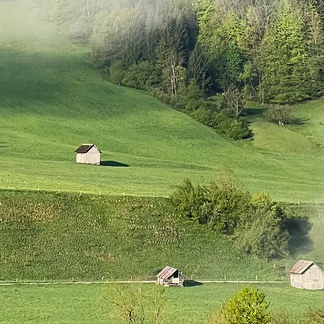 Les grangettes de la Compôte