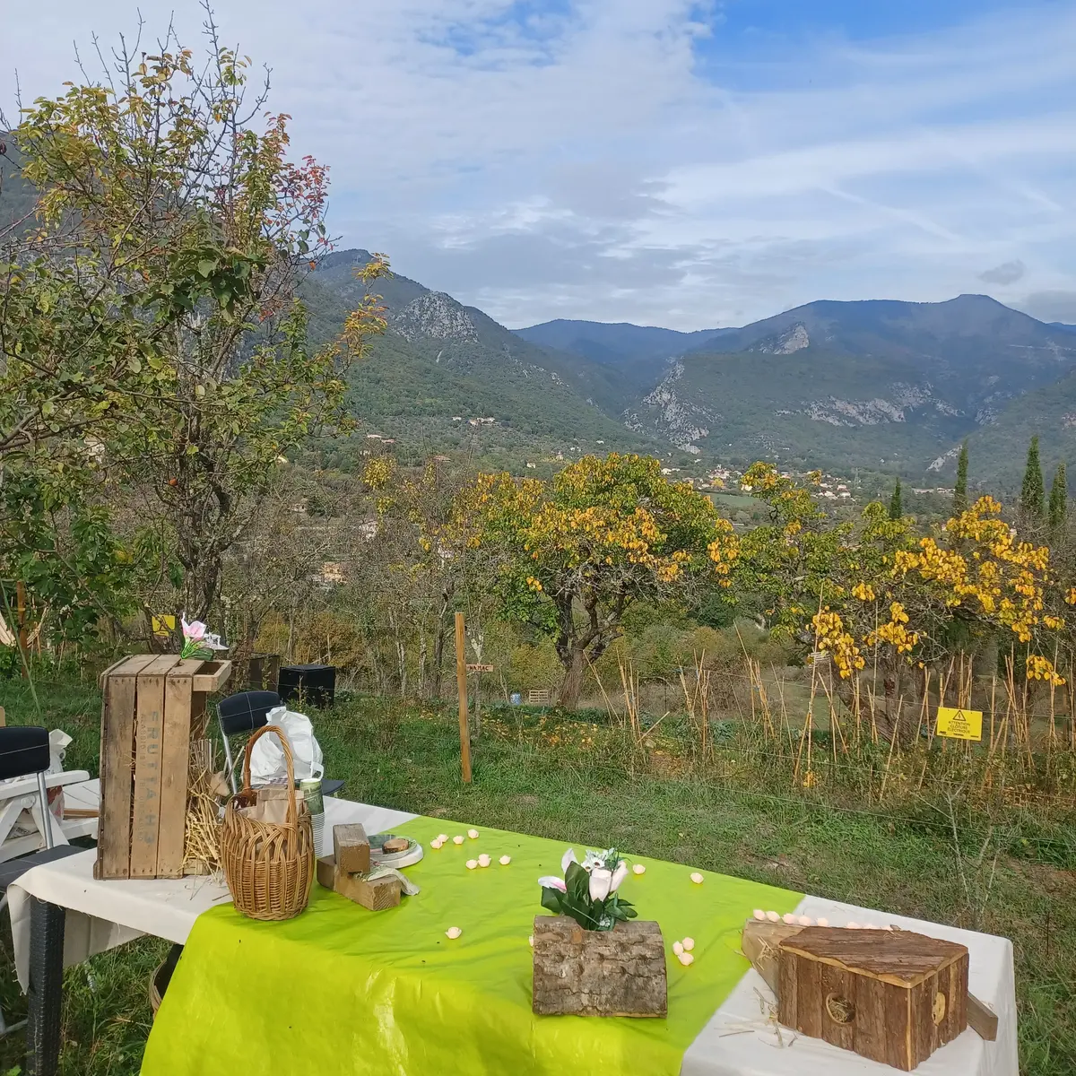 Vue panoramique
