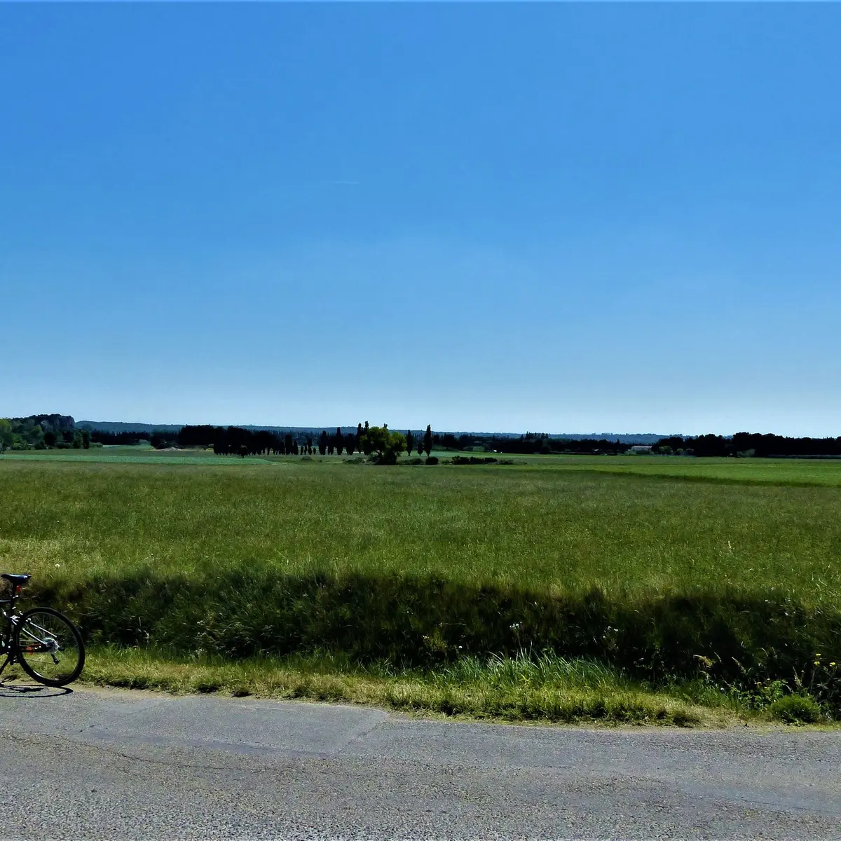 La plaine de Maussane-les-Alpilles