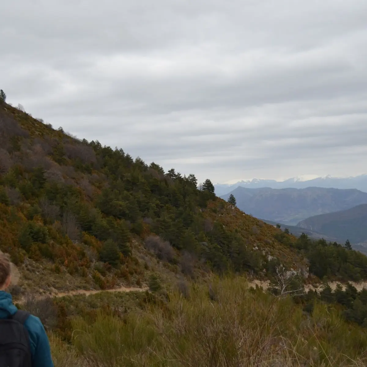 La vallée de l'Oule