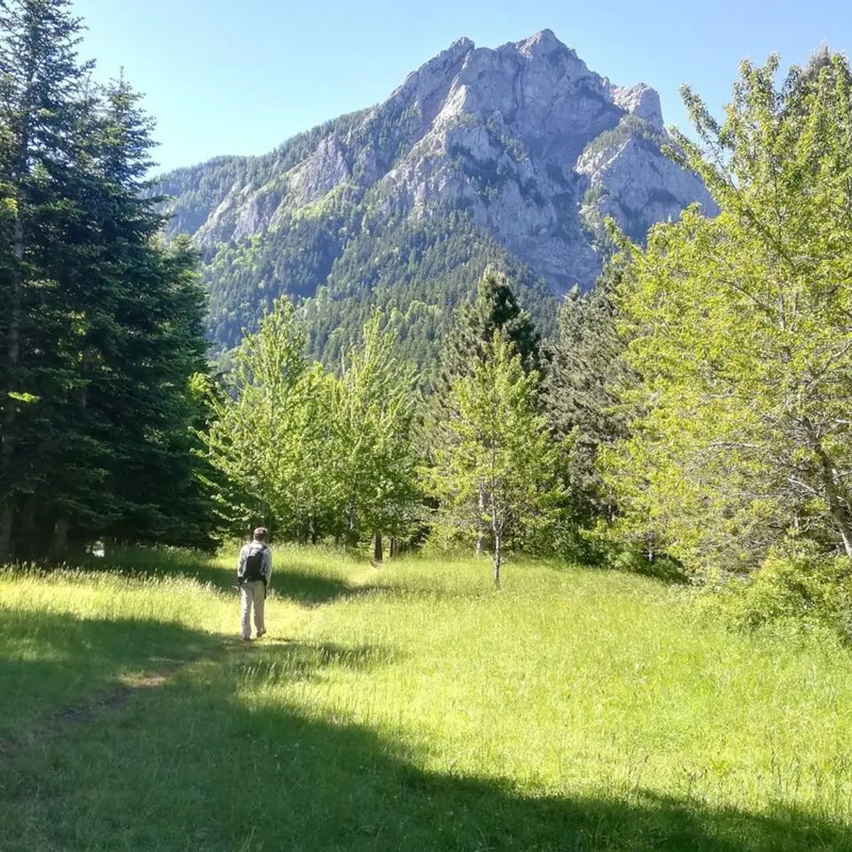 Praires de Pierre Arnoux avec vue sur le Pic de Morgon