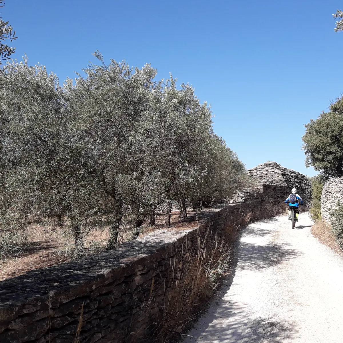 Parcours VTT Les Beaumettes