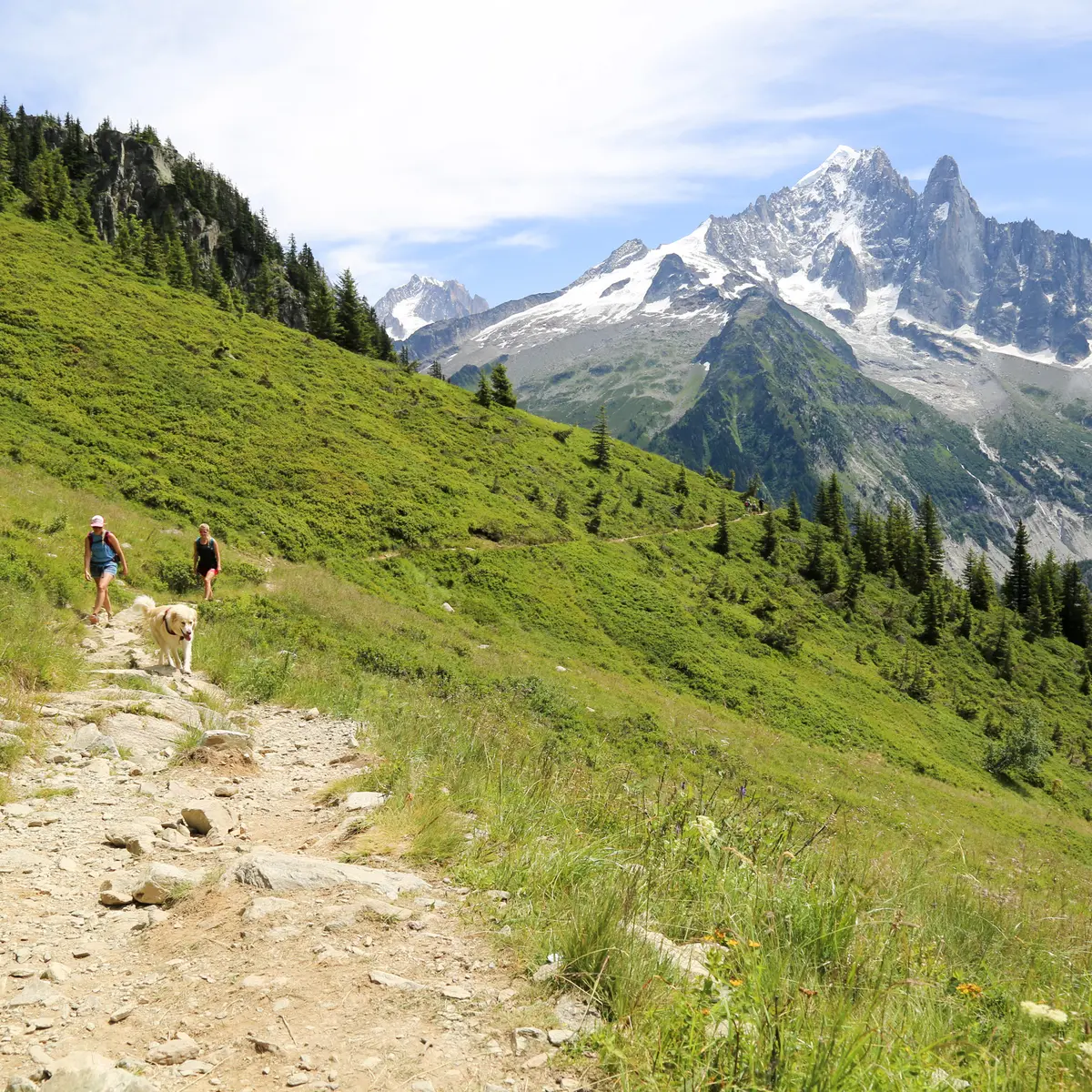 planpraz-flégère vue sur les Drus