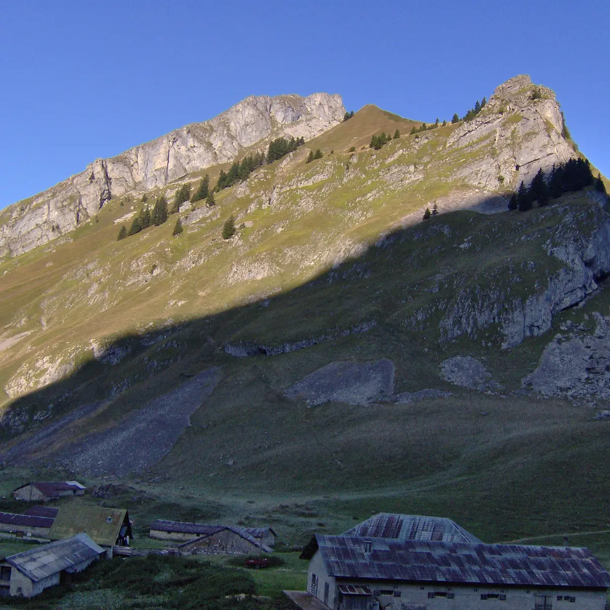 Alpage de Bise
