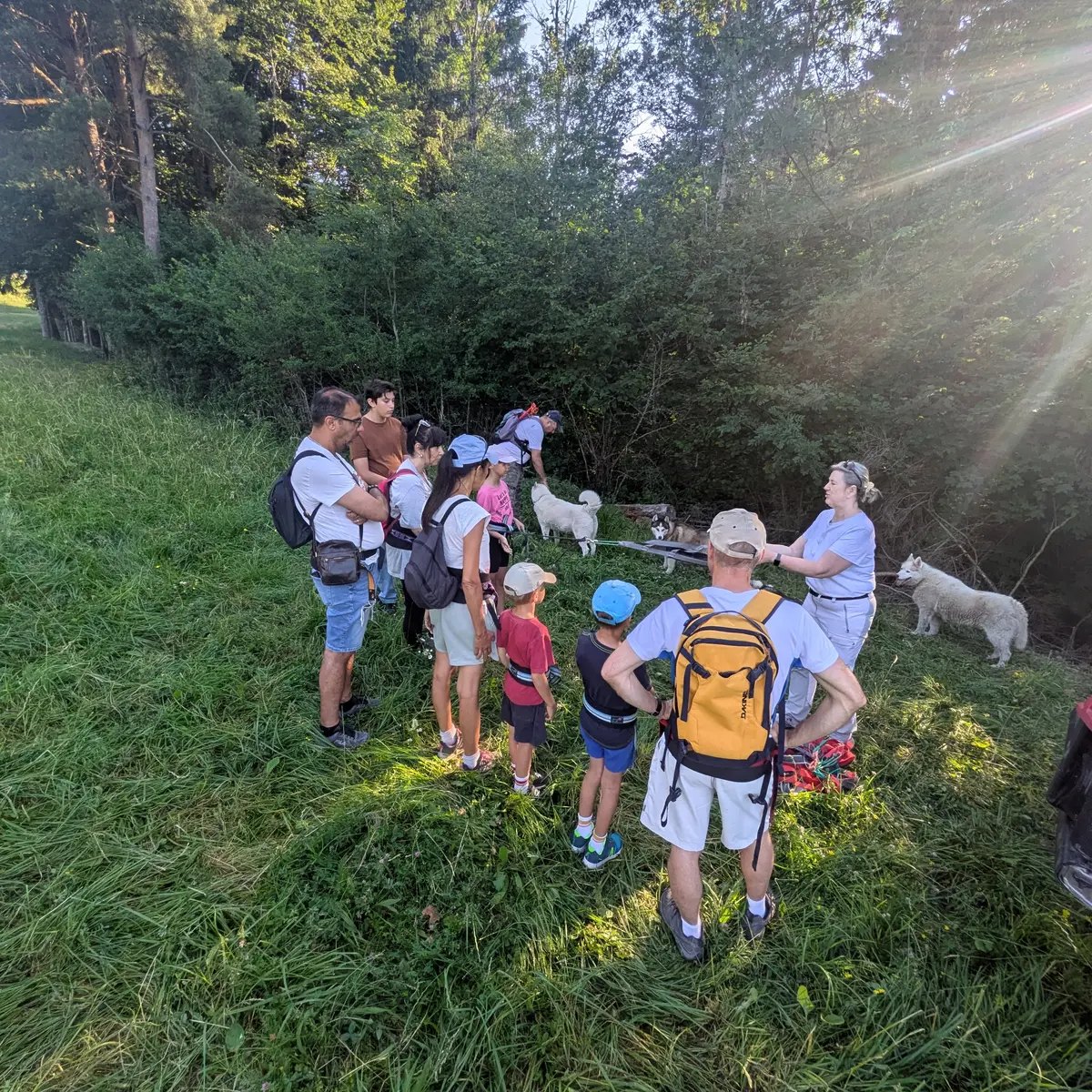 Cani randonnée sur le plateau