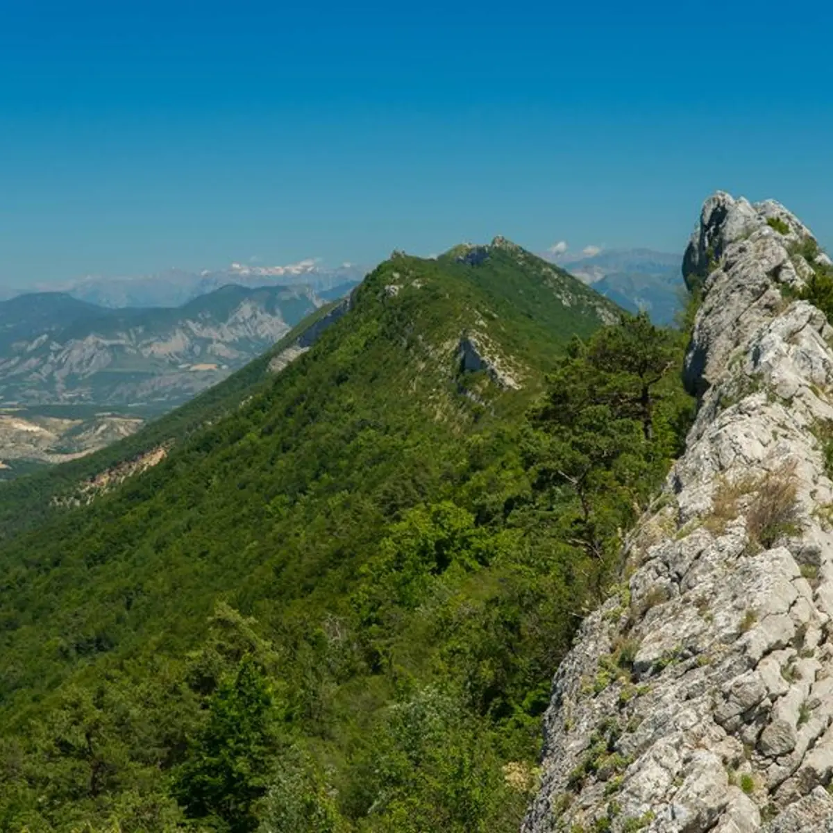 Col de St-Ange - 1266 m