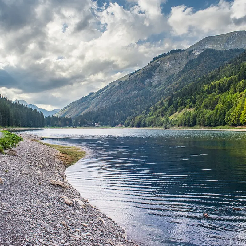 Sentier le long du lac de Montriond