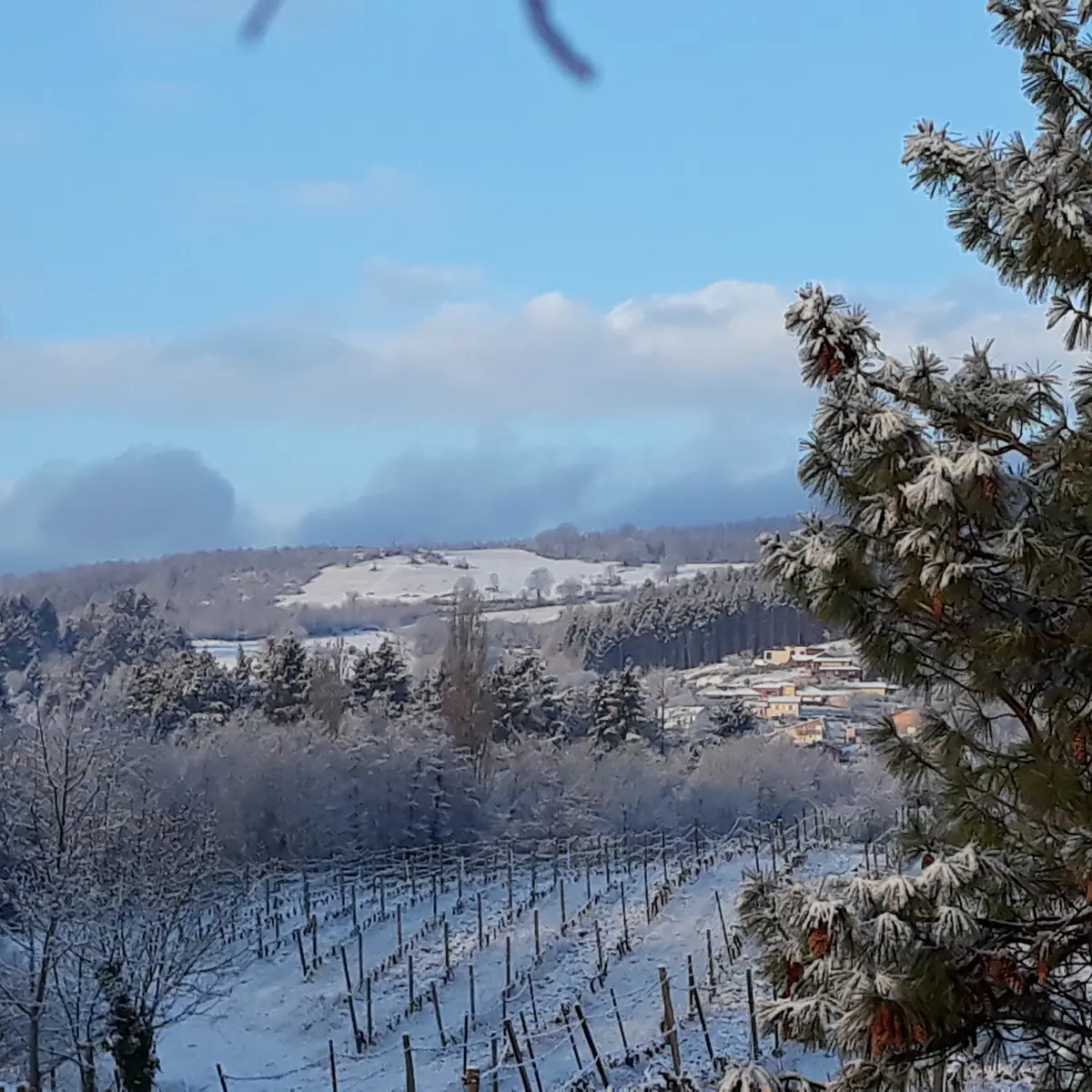 La Picatier en hiver