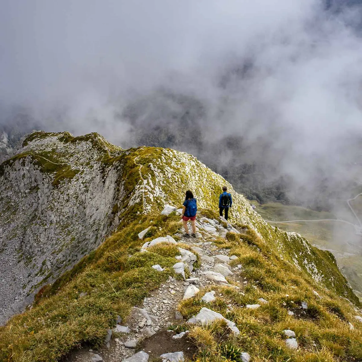 Randonnée pédestre