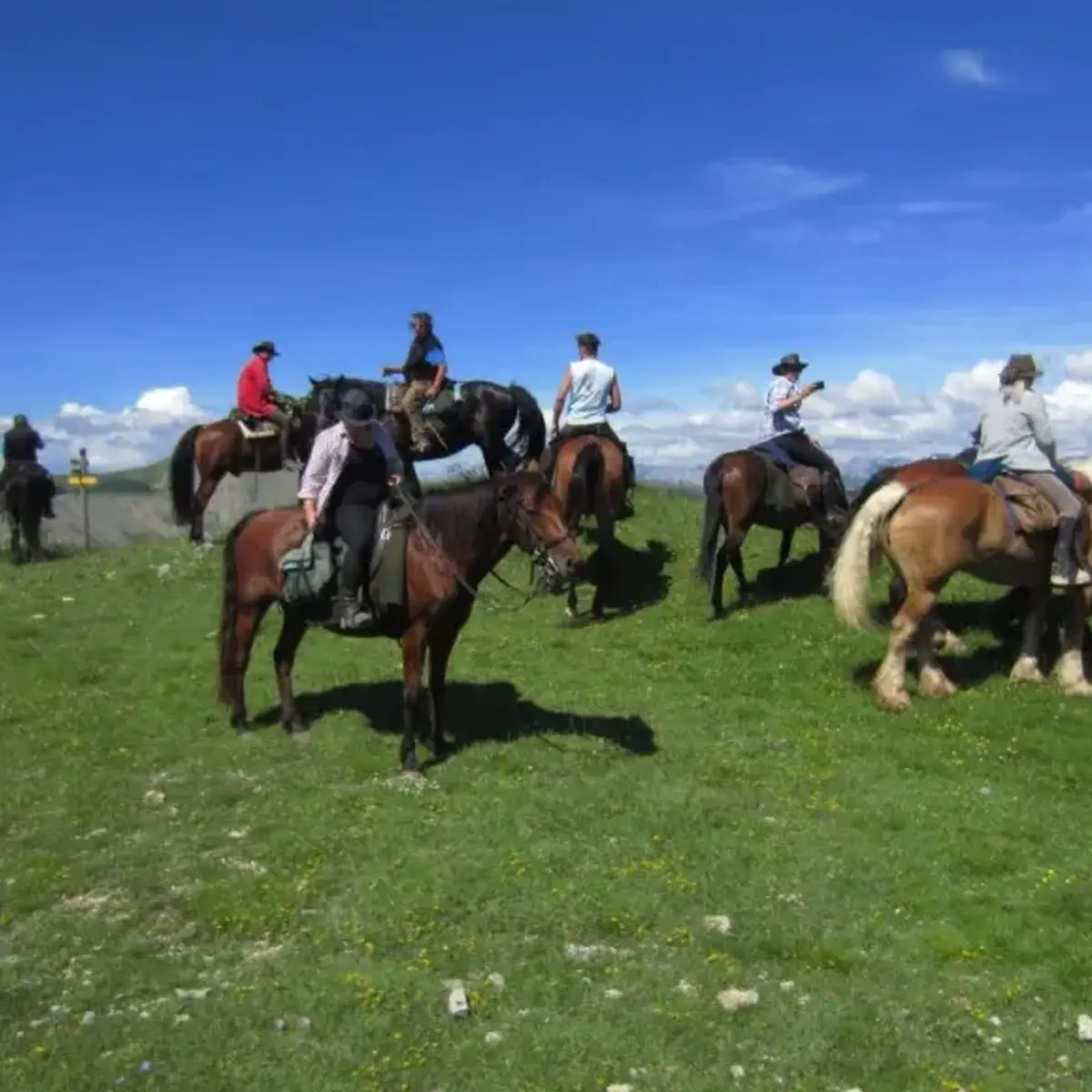 Sur la route Napoléon